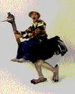 peki3.gif (22926 Byte)